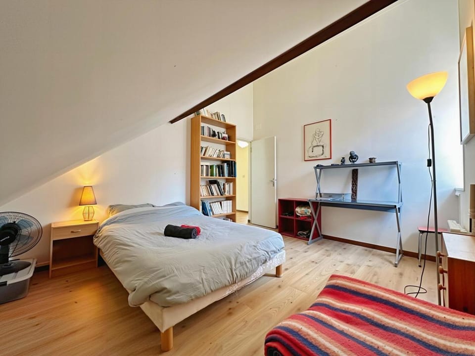 Bed, Library, Photo of the whole room, Bedroom
