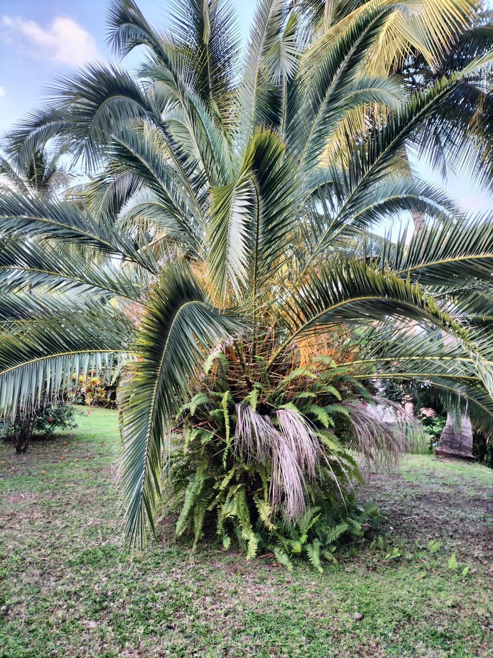 Natural landscape