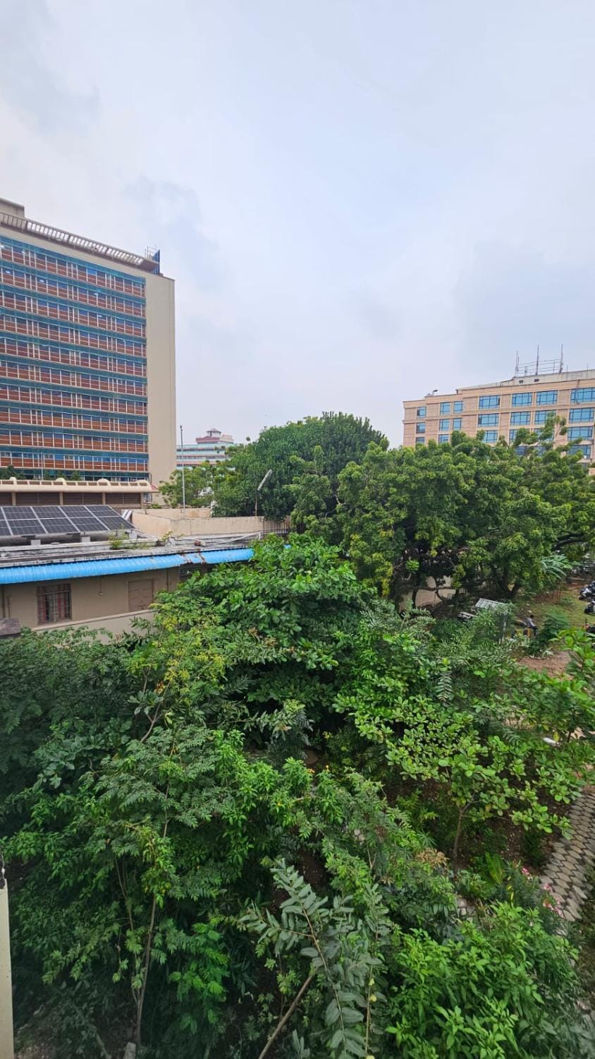 Day, Garden view
