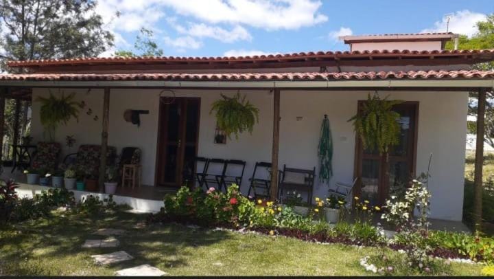Property building, Garden view