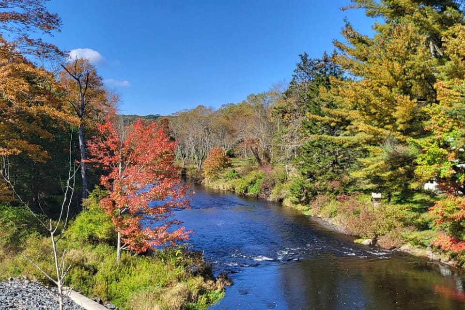 Natural landscape, River view