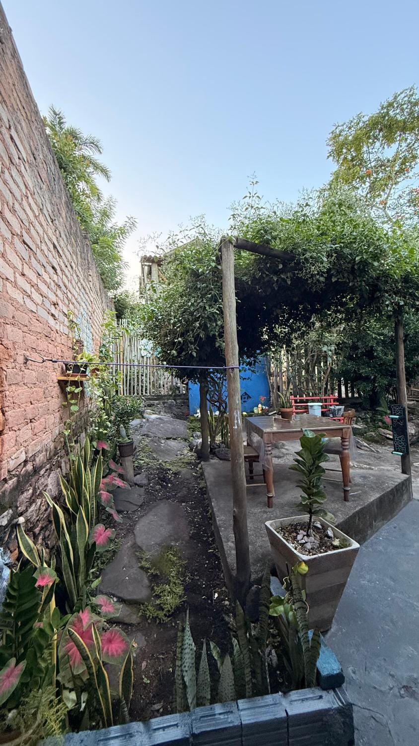 Spring, Day, Garden, Garden view
