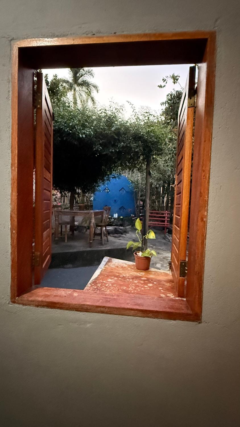 Patio, Day, Garden, Garden view