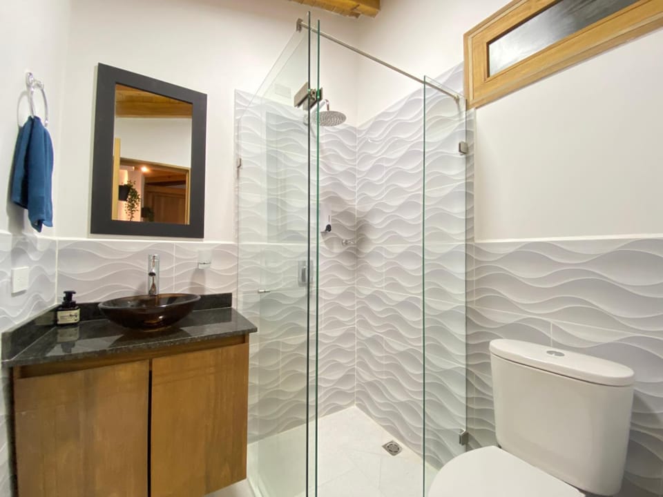 Shower, Toilet, Bathroom, towels