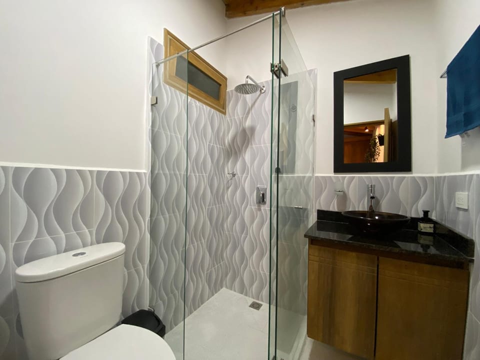 Shower, Toilet, Bathroom, towels