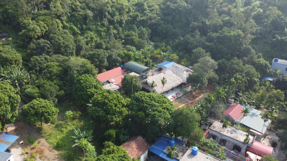 Restaurant/places to eat, Natural landscape, Bird's eye view