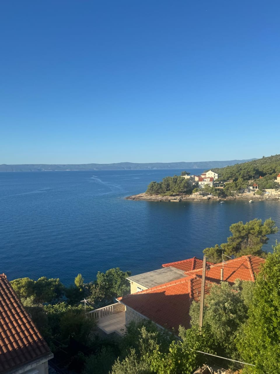 Apartments Villa Suzana Including Private Pool Vacation rental in Selca, Brač