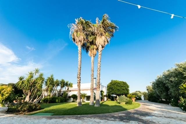 Villa Forester - Puglia Mia Apartments Villa in Apulia