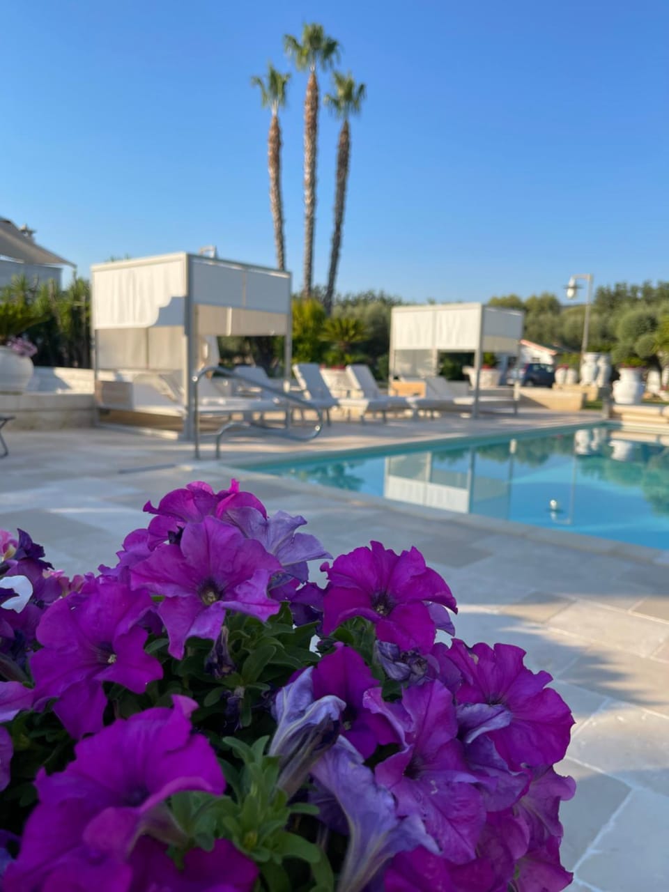 Villa Forester - Puglia Mia Apartments Villa in Apulia