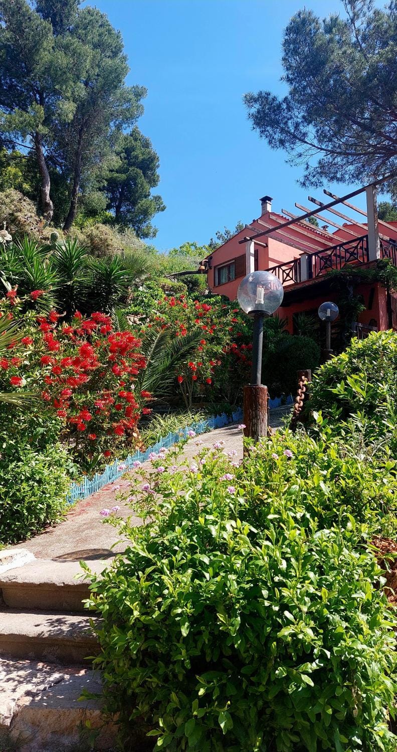 Summer, Garden