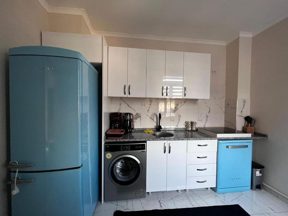 Kitchen or kitchenette, dishwasher, stove, toaster, washing machine