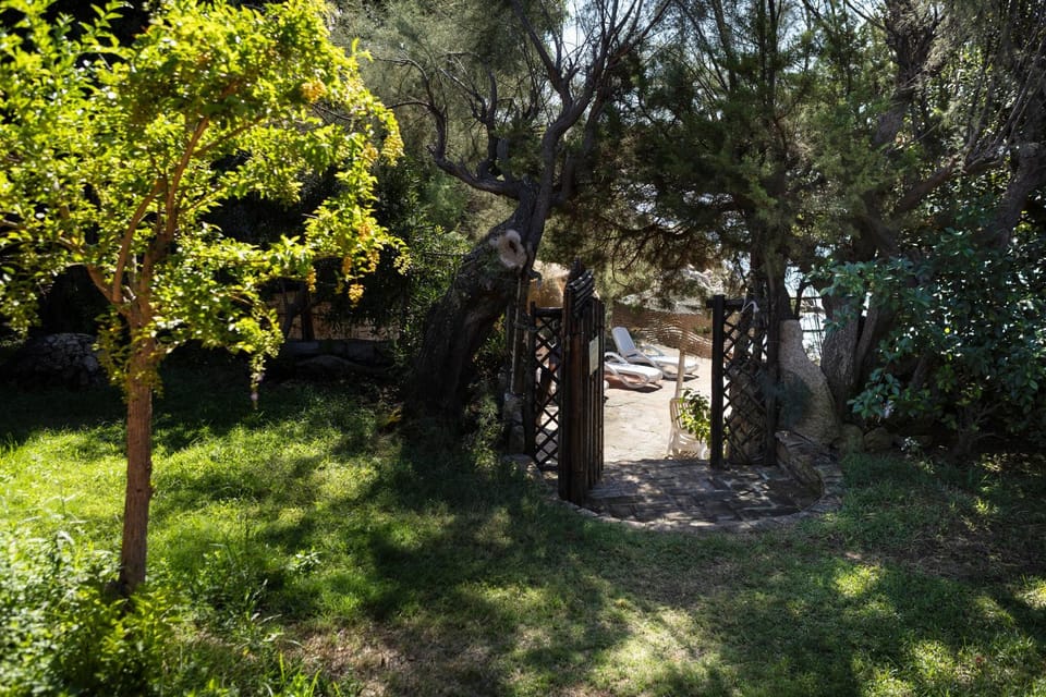 Day, Garden