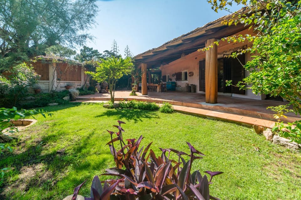 Property building, Garden view
