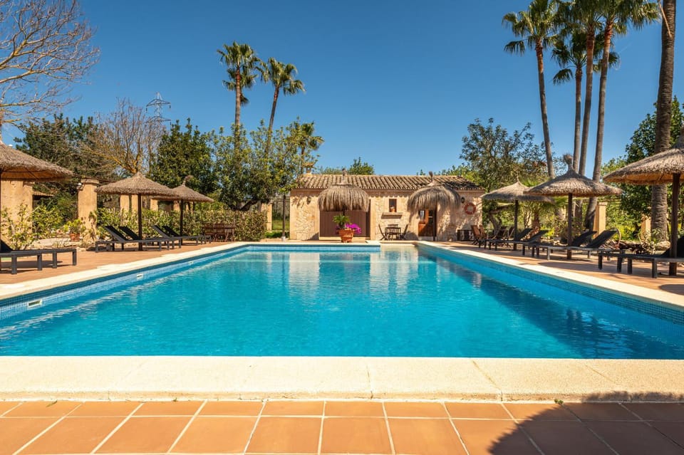 Day, Pool view, Swimming pool, Swimming pool, sunbed