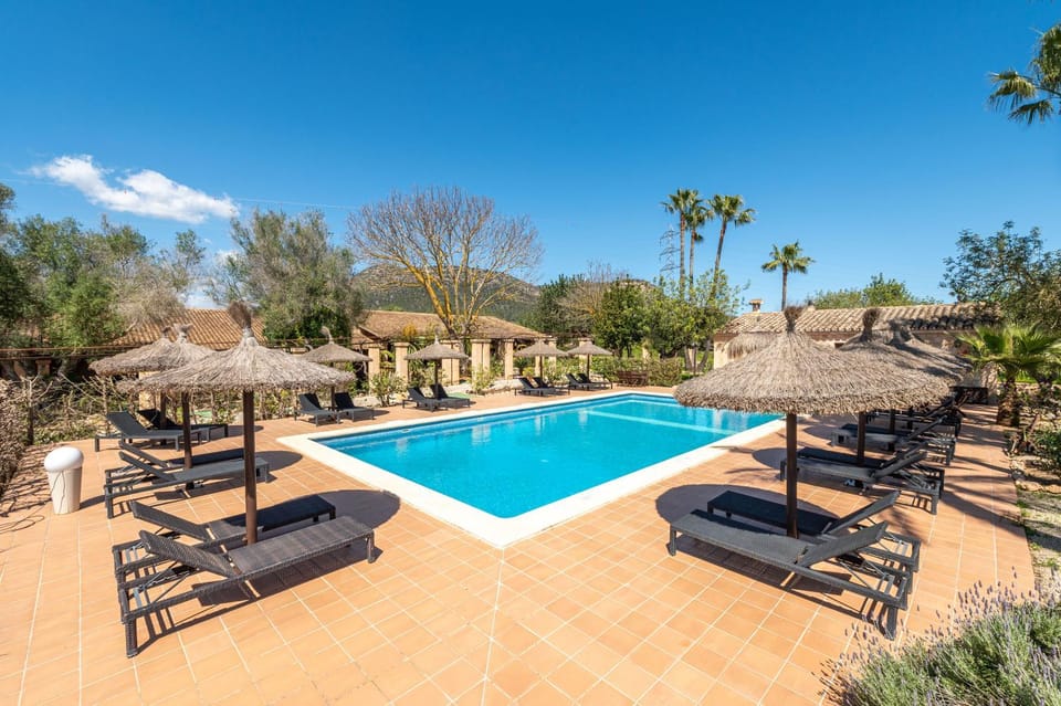 Patio, Day, Natural landscape, Garden, Garden view, Pool view, Swimming pool, Swimming pool, sunbed