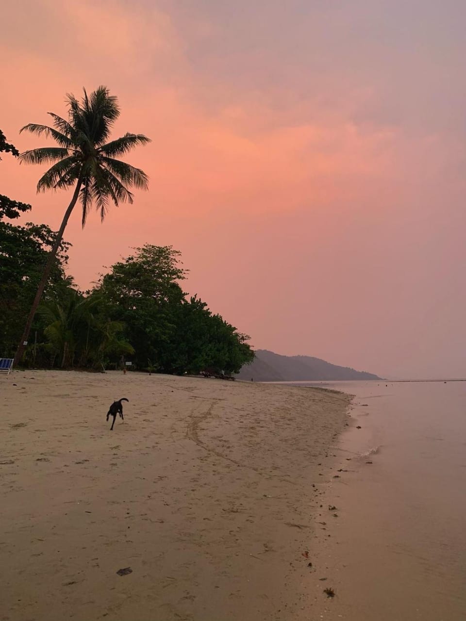 Natural landscape, Beach, Sea view, Sunset