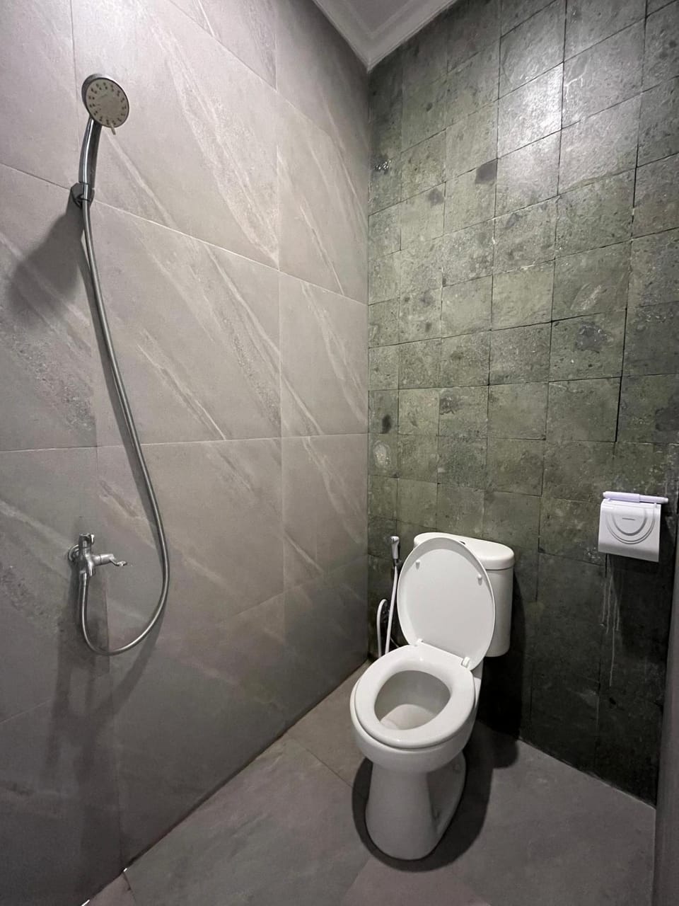 Shower, Toilet, Bathroom, bidet