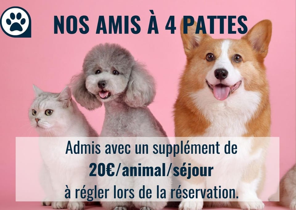 Property building, Pets