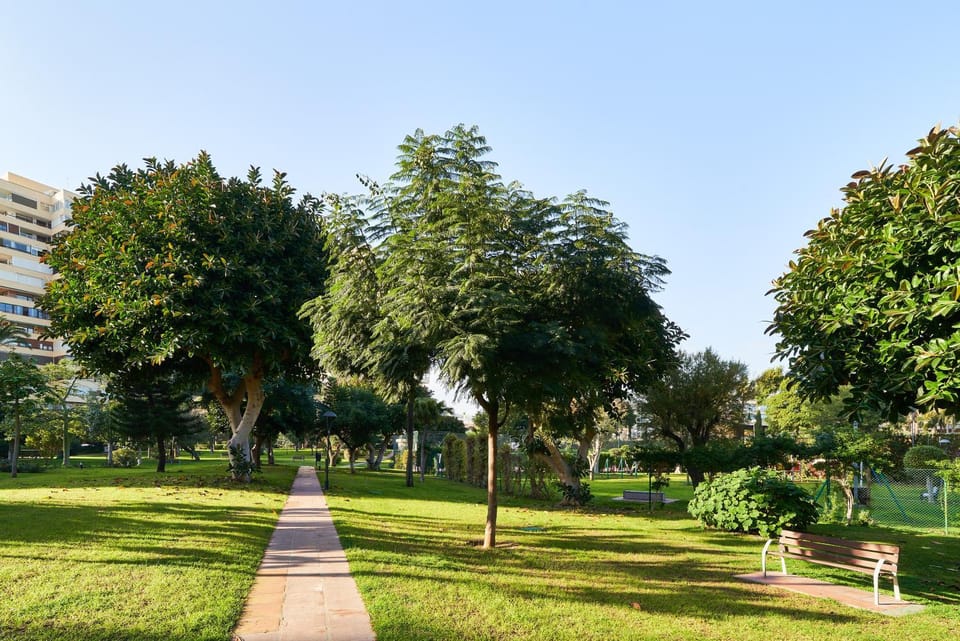 Day, Natural landscape, Garden