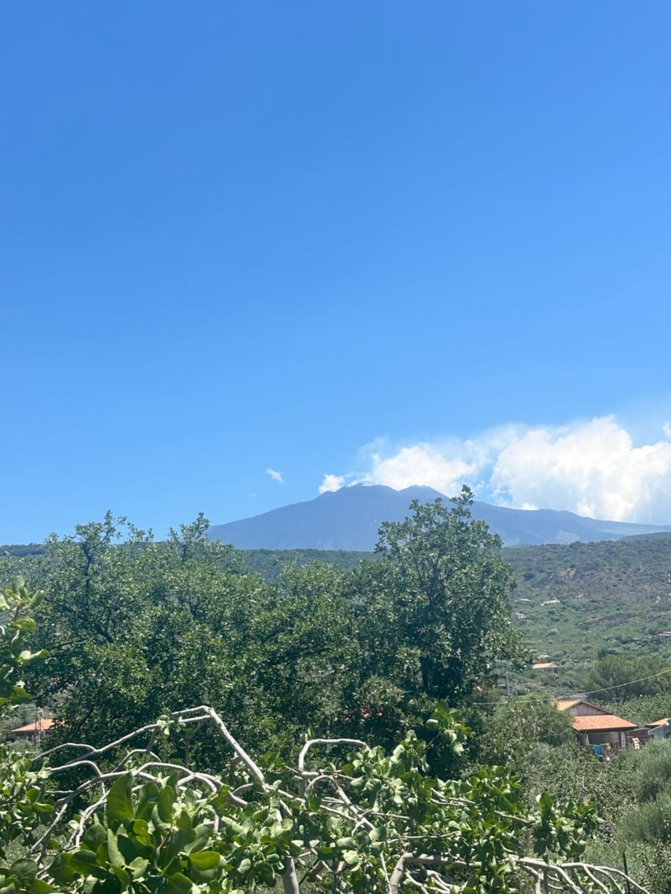 La Suite da Esther Apartment in Sicily