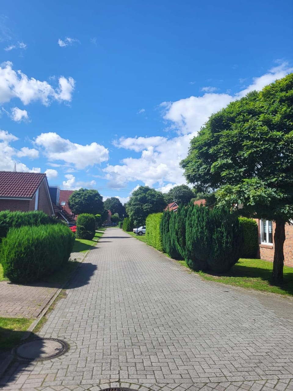 Neighbourhood, Street view