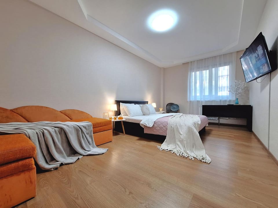 Communal lounge/ TV room, Bed, TV and multimedia, Living room, Photo of the whole room, Seating area, Evening entertainment, Bedroom