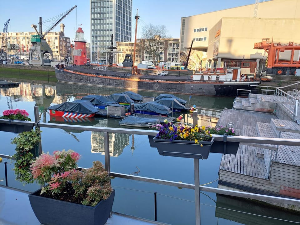 View (from property/room)