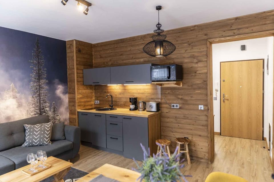 Coffee/tea facilities, Kitchen or kitchenette, stove