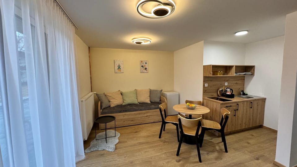 Kitchen or kitchenette, Living room, Seating area, stove