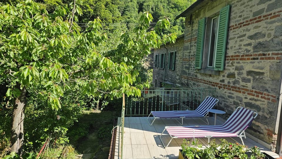 Garden, Balcony/Terrace