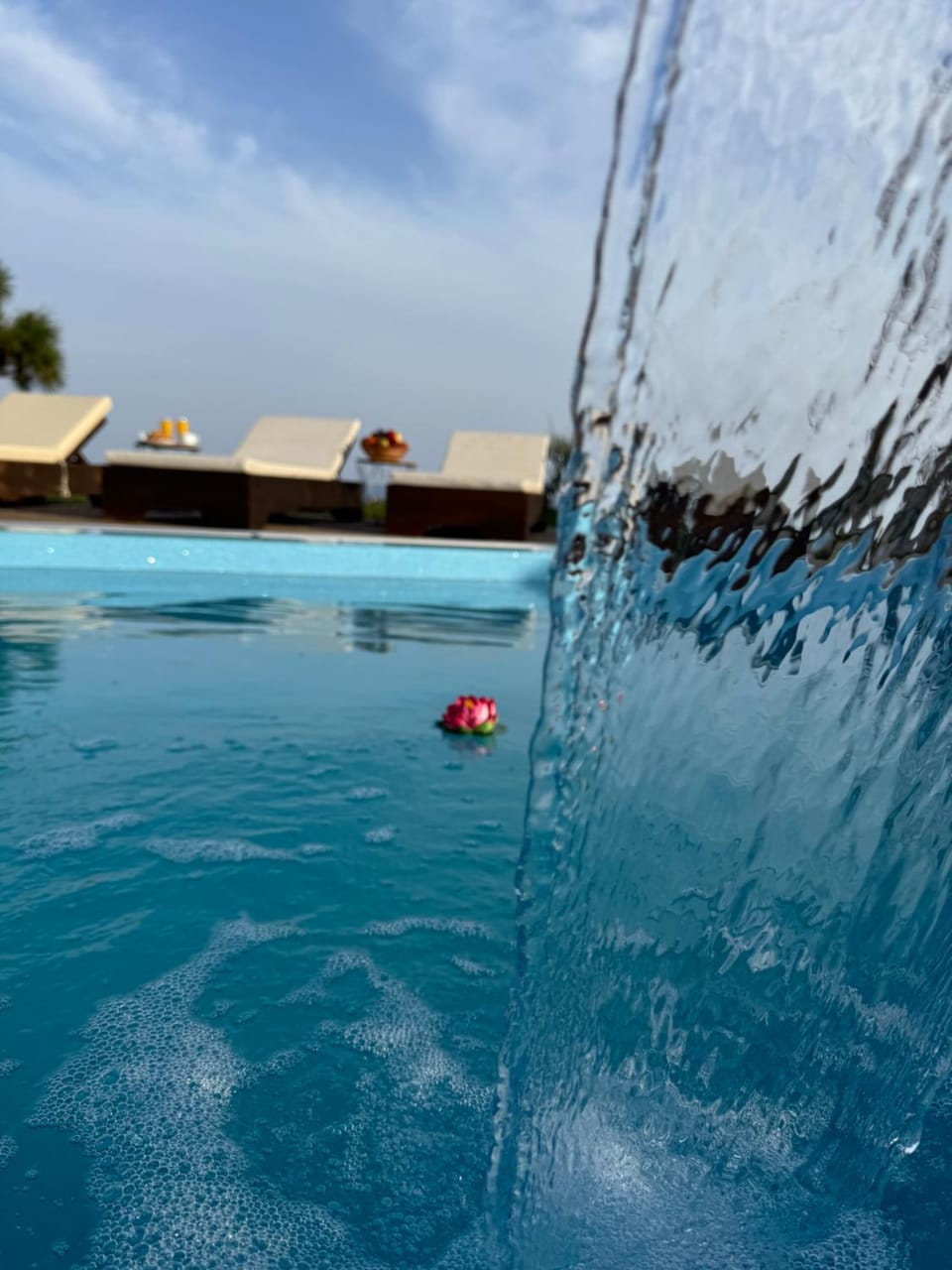 Swimming pool, Swimming pool