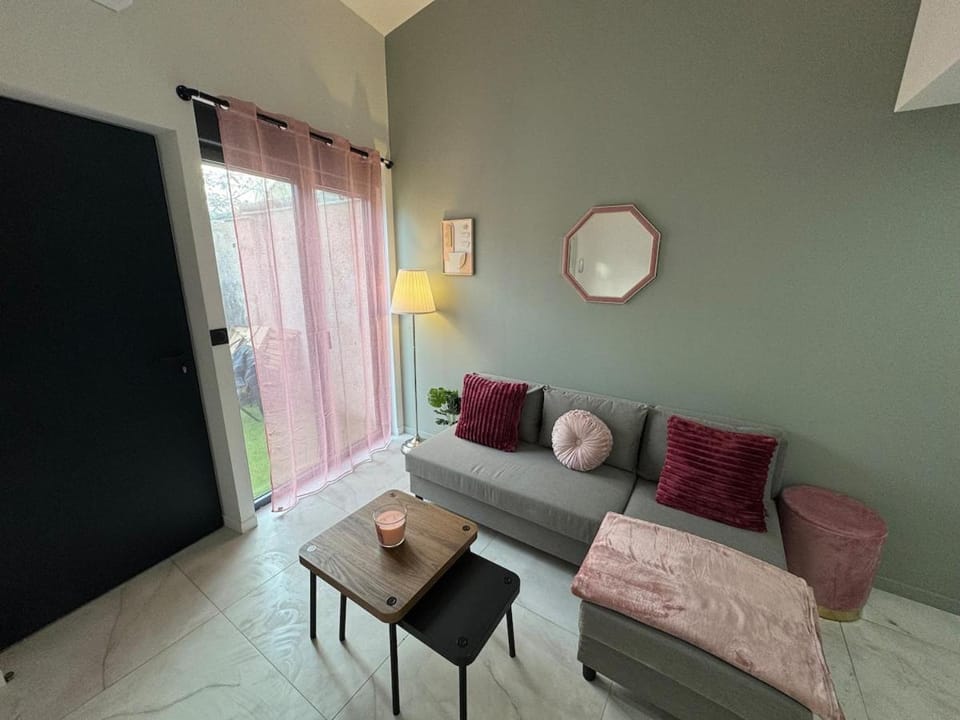 Petit Boudoir Lyonnais neuf terrasse climatisé House in Lyon