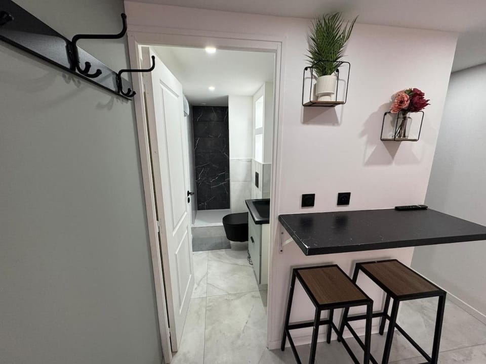 Petit Boudoir Lyonnais neuf terrasse climatisé House in Lyon