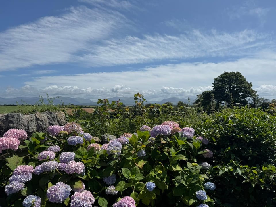 Gwyllt Cottages House in Rhosyr
