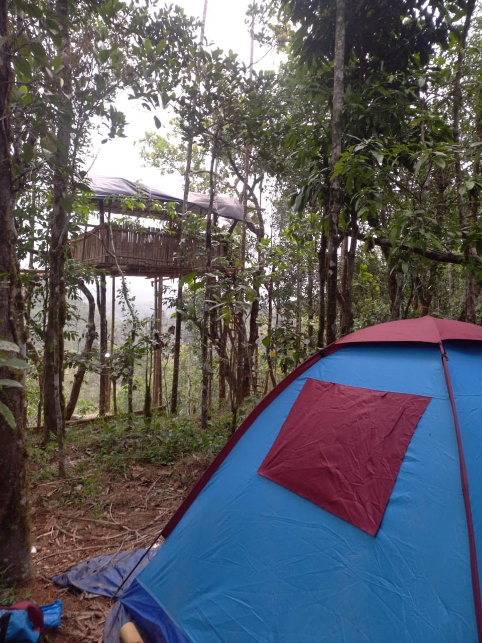 Pepper Mist Wayanad Homestay Villa in Kerala