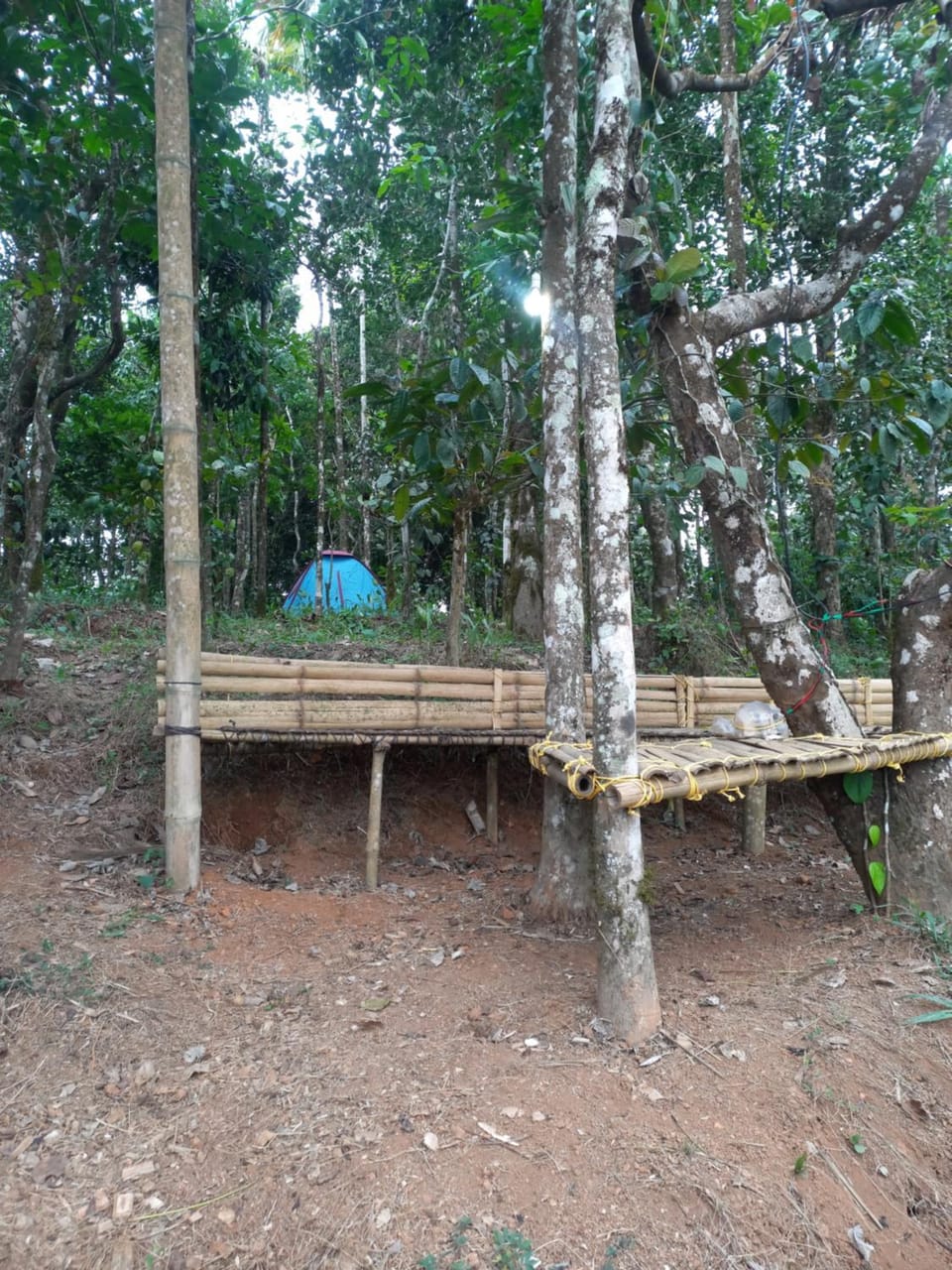 Pepper Mist Wayanad Homestay Villa in Kerala