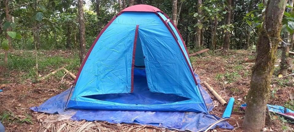 Pepper Mist Wayanad Homestay Villa in Kerala