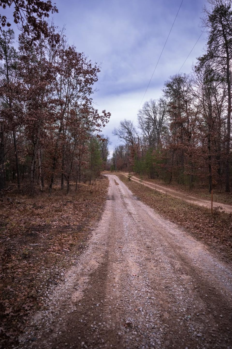 Natural landscape