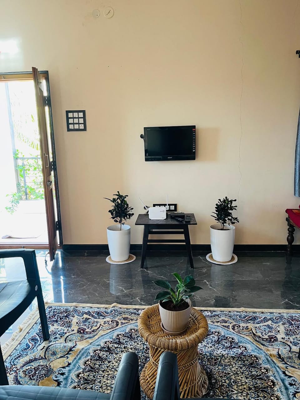 TV and multimedia