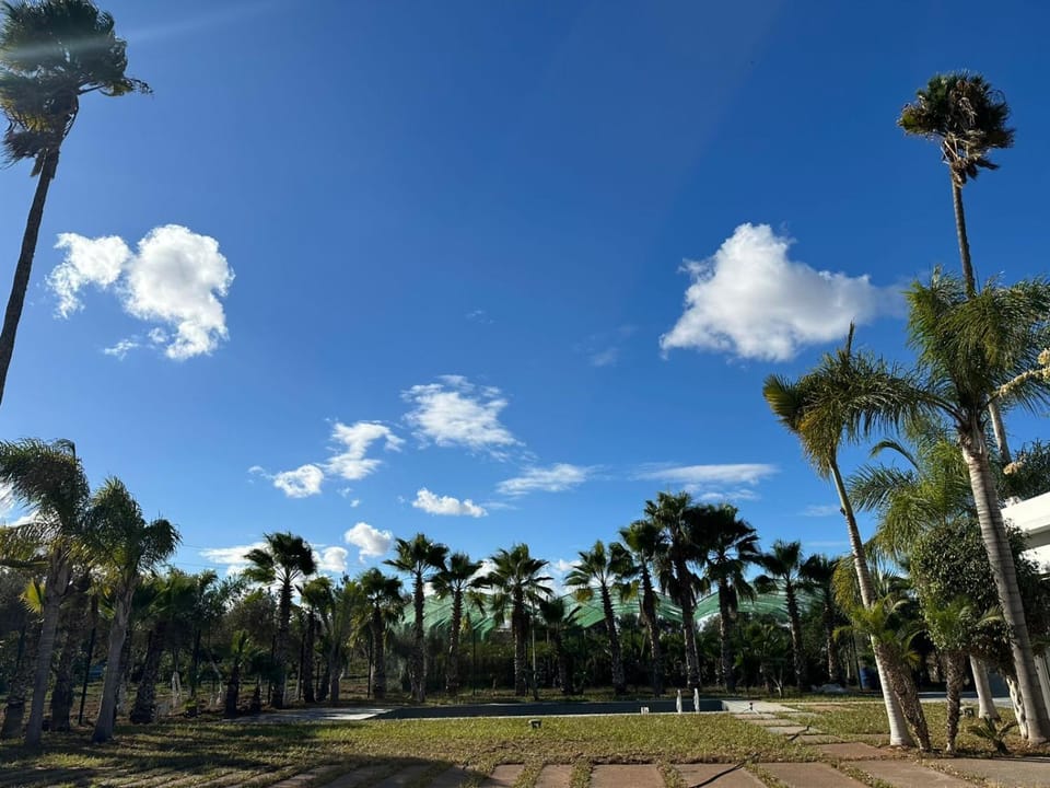 Natural landscape, Garden, Garden view