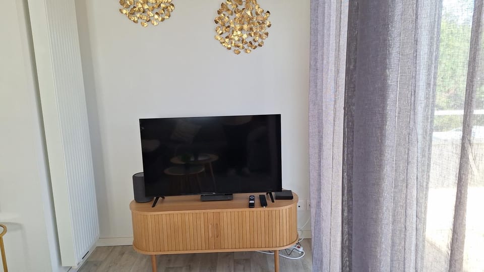 TV and multimedia