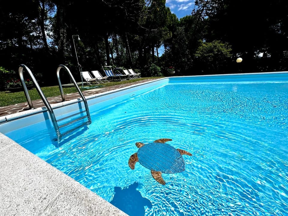 Pool view, Swimming pool