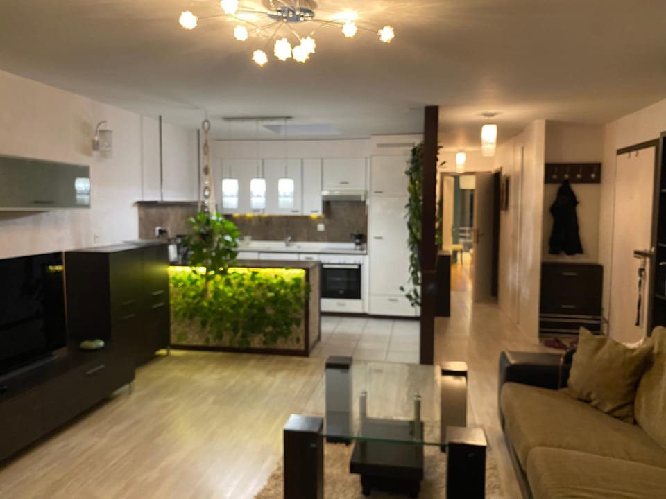 Kitchen or kitchenette, Living room