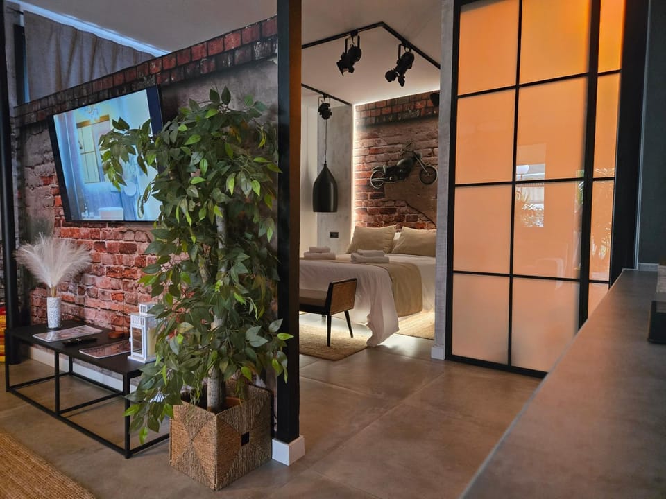 Loft los carmenes Apartment in Granada