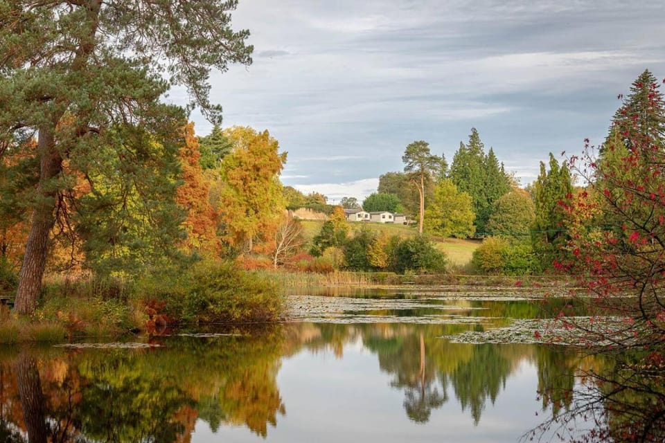 Cedar Cabin Overlooking Bedgebury Forest Cabin in Rother District