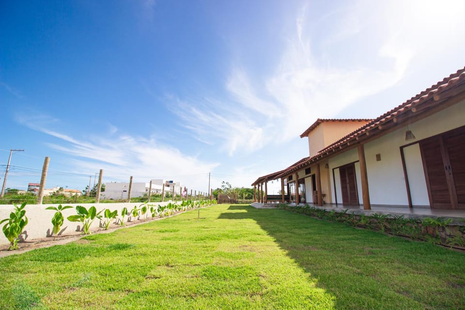 Day, Natural landscape, Garden, Garden view