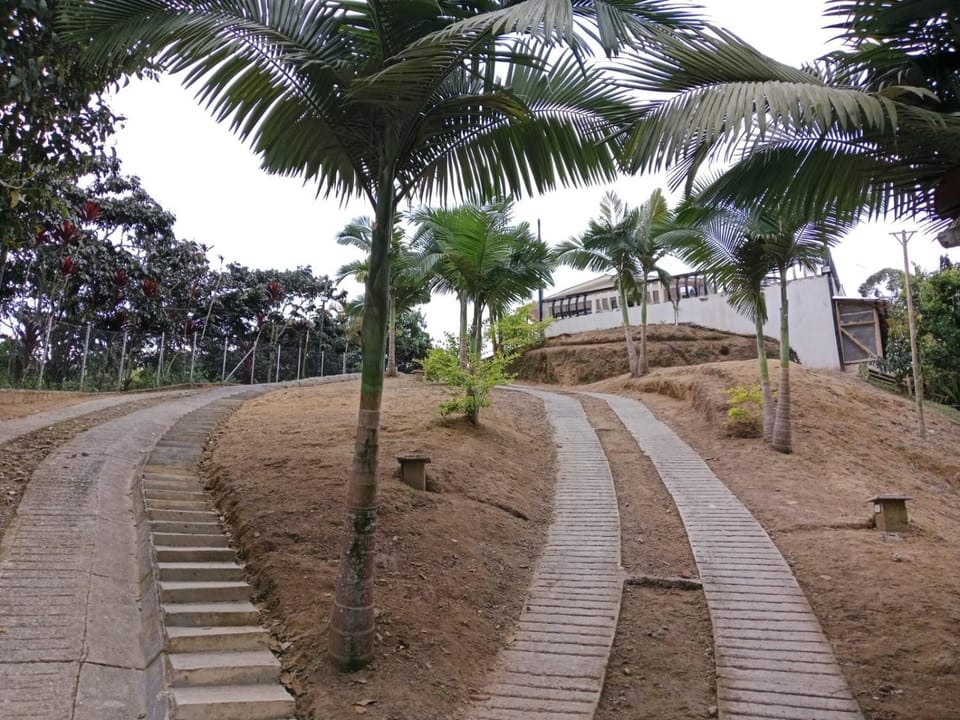 Finca la mariana Country House in Risaralda