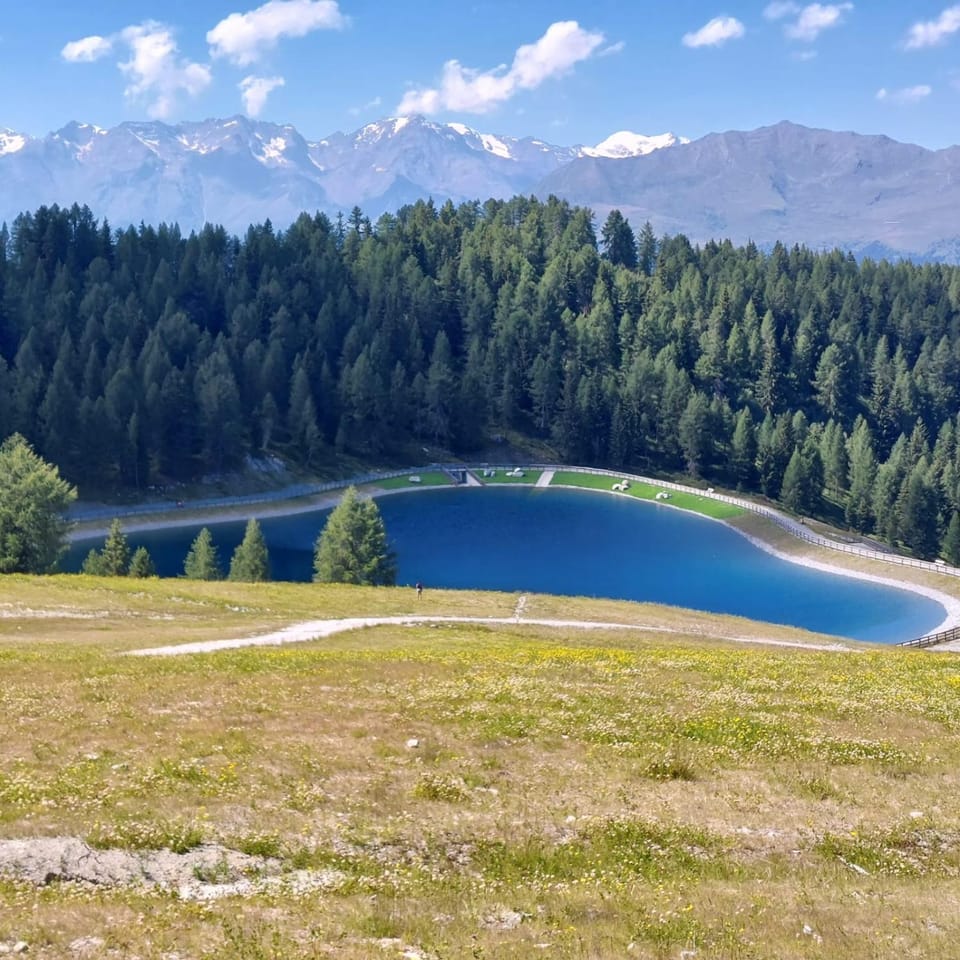 Casa Roby - Marilleva 1400 in Val di Sole Apartment in Province of Brescia