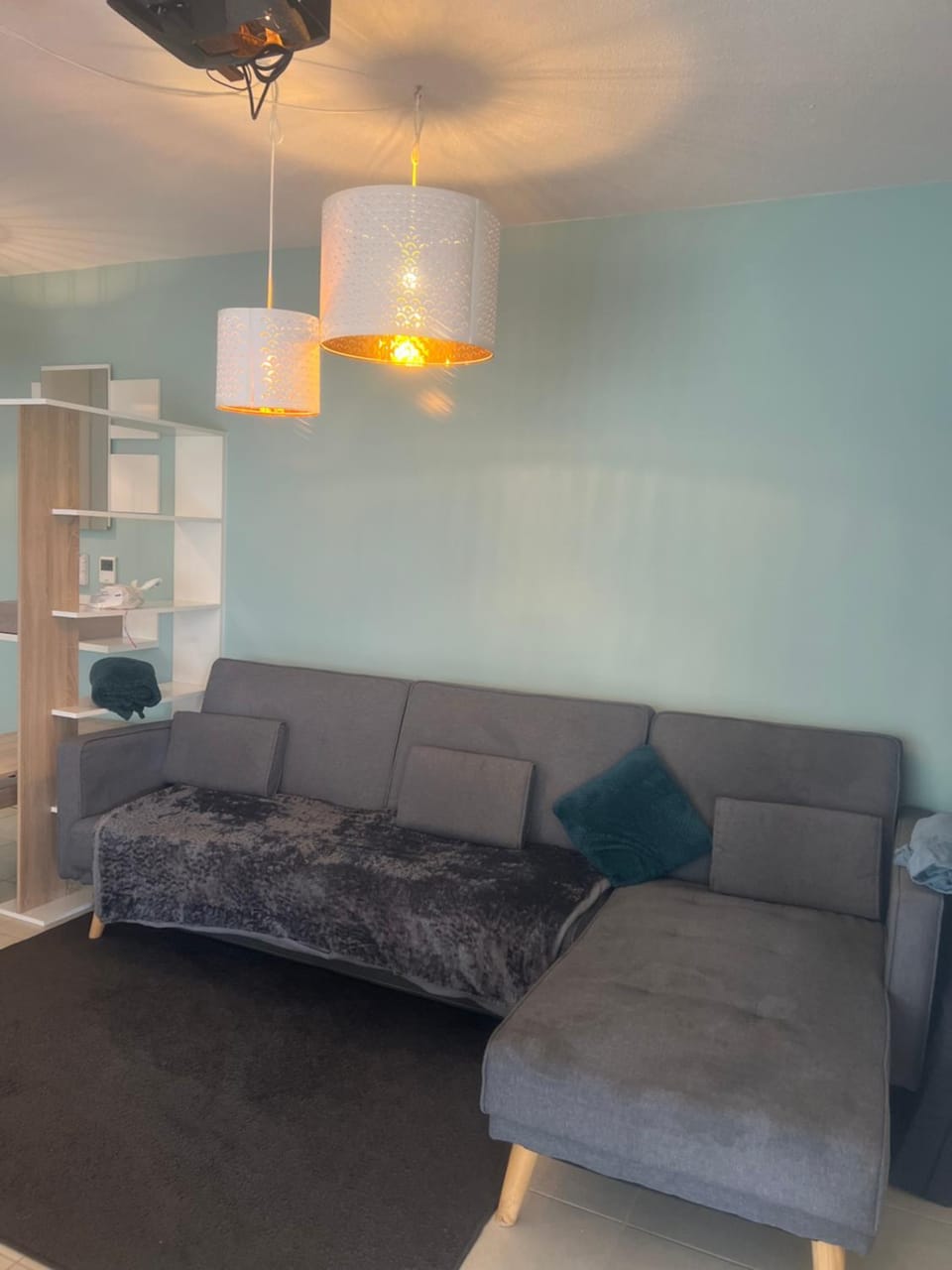 Cosy appartement Apartment in Villeurbanne