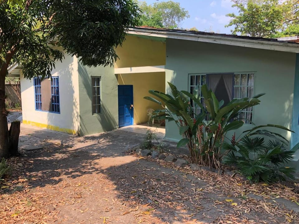 Property building, Garden, Garden view